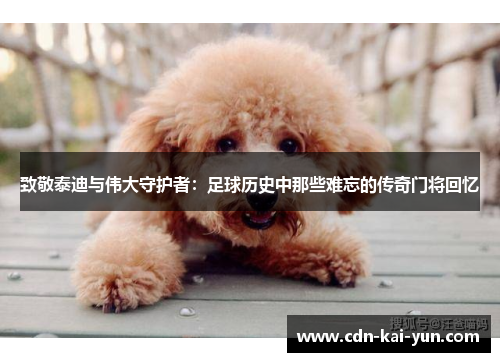 致敬泰迪与伟大守护者:足球历史中那些难忘的传奇门将回忆 致敬泰迪与伟大守护者:足球历史中那些难忘的传奇门将回忆