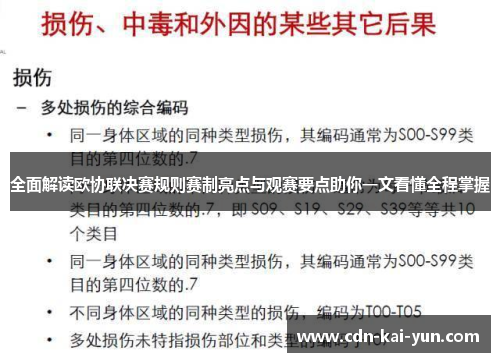 全面解读欧协联决赛规则赛制亮点与观赛要点助你一文看懂全程掌握